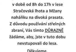 VAROVÁNÍ!!! Nahánění divokých prasat 2.11.2024