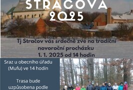 Novoroční pochod 2025