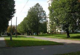 Regenerace vybrané zeleně obce Stračov a Klenice - dokumentace