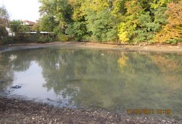 Výlov rybníka ve stračovském Parku